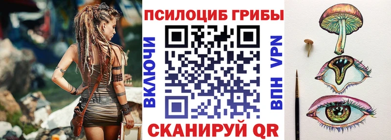 где продают   Карасук  Псилоцибиновые грибы мицелий 